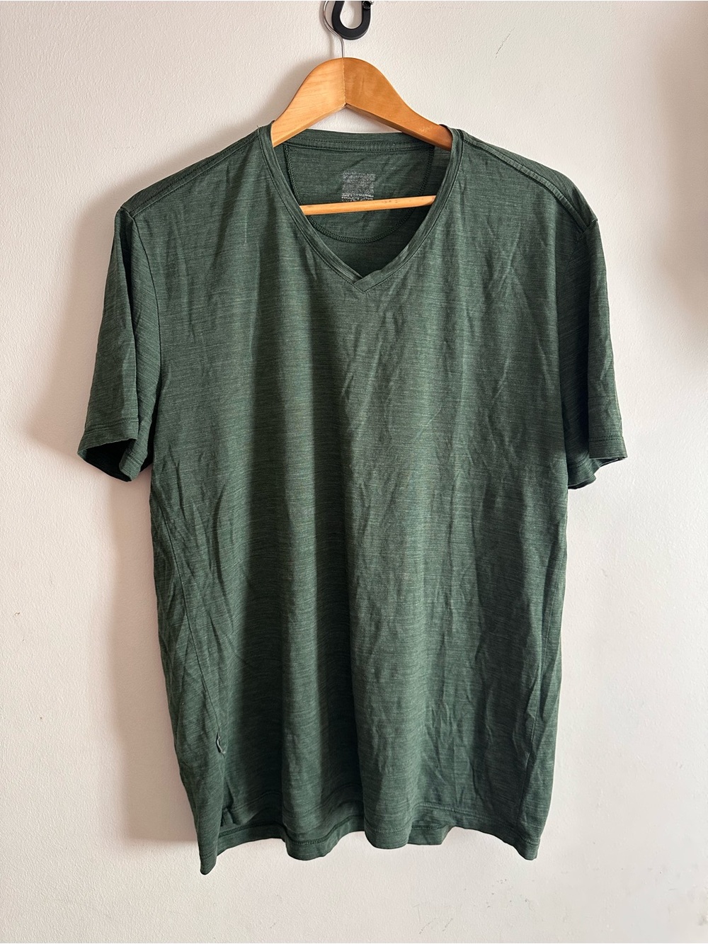 Icebreaker Men's V-Neck Tee in Forest Green